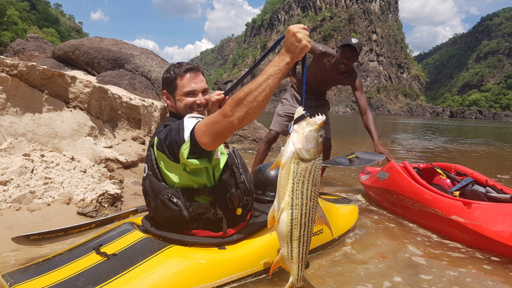 Un kayakiste tient un Tiger Fish. Adrénaline garantie pendant le combat.